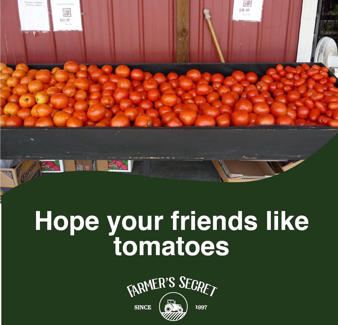 Hope your friends like tomatoes!
