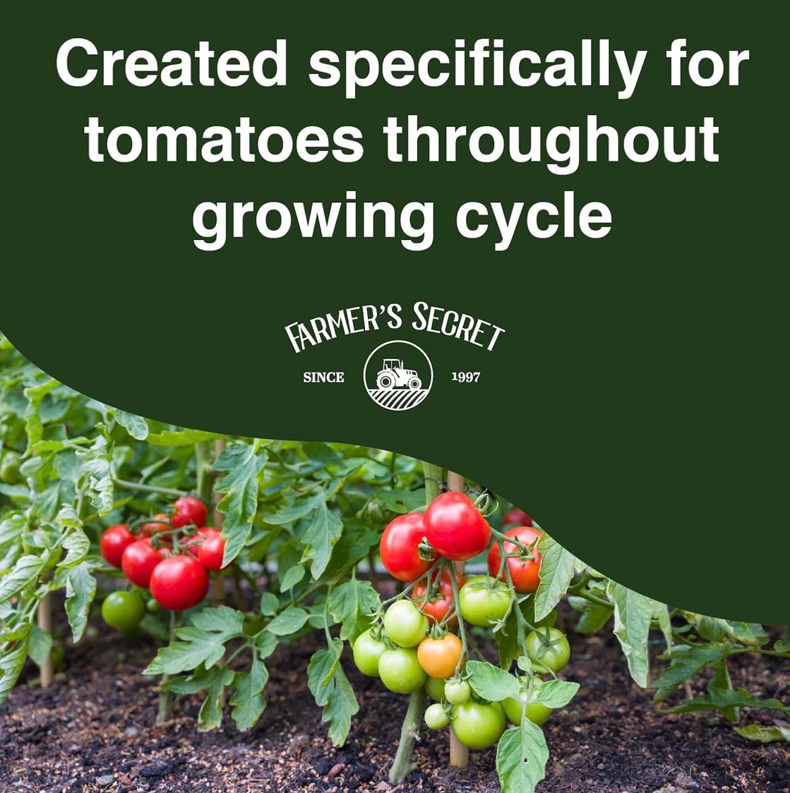 Created for tomato growth