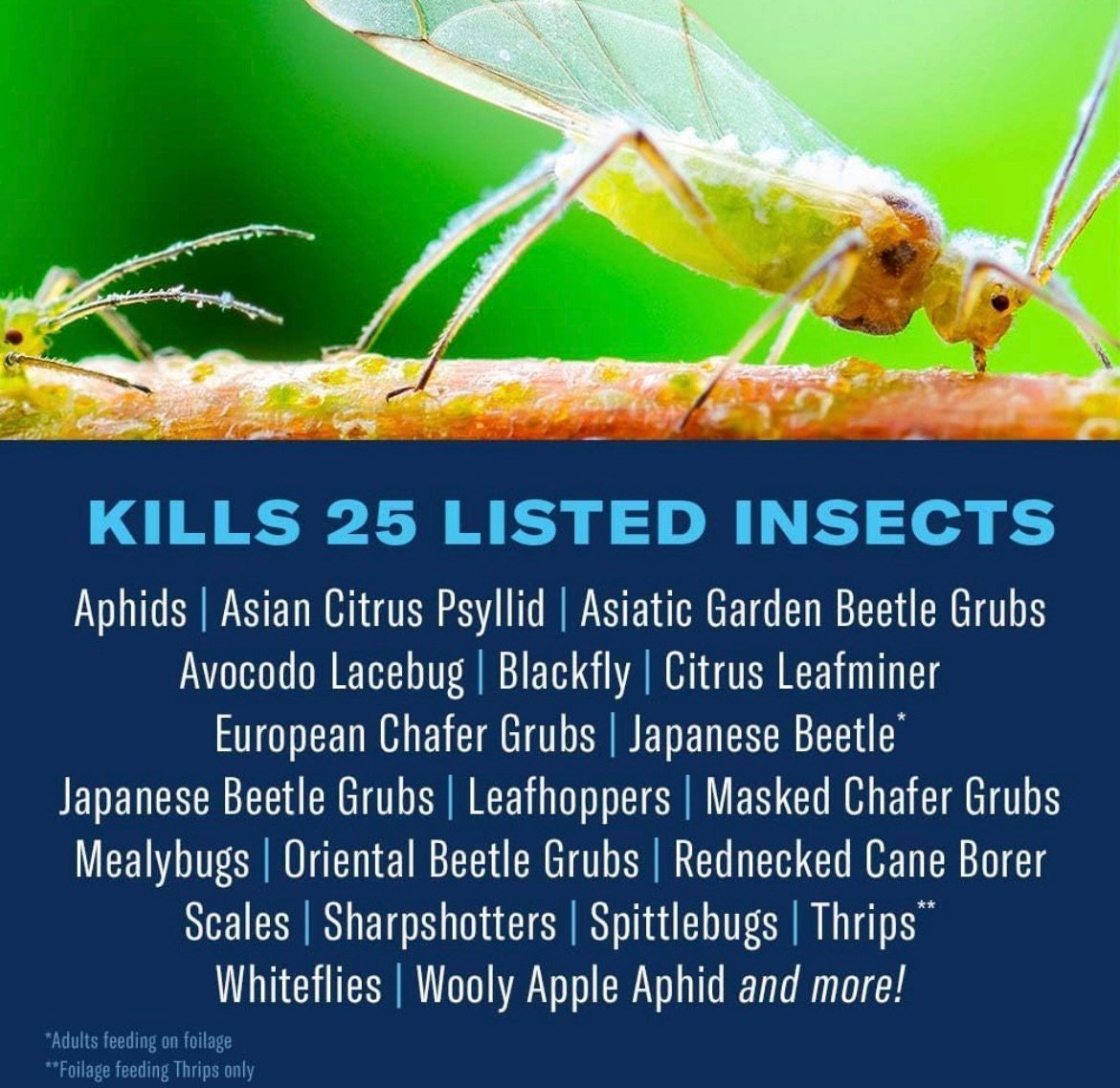Kills 25 insects