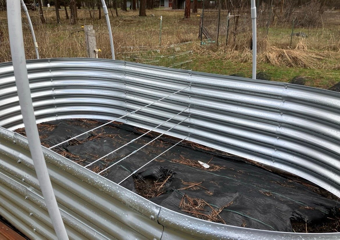 Raised bed for tomato plants