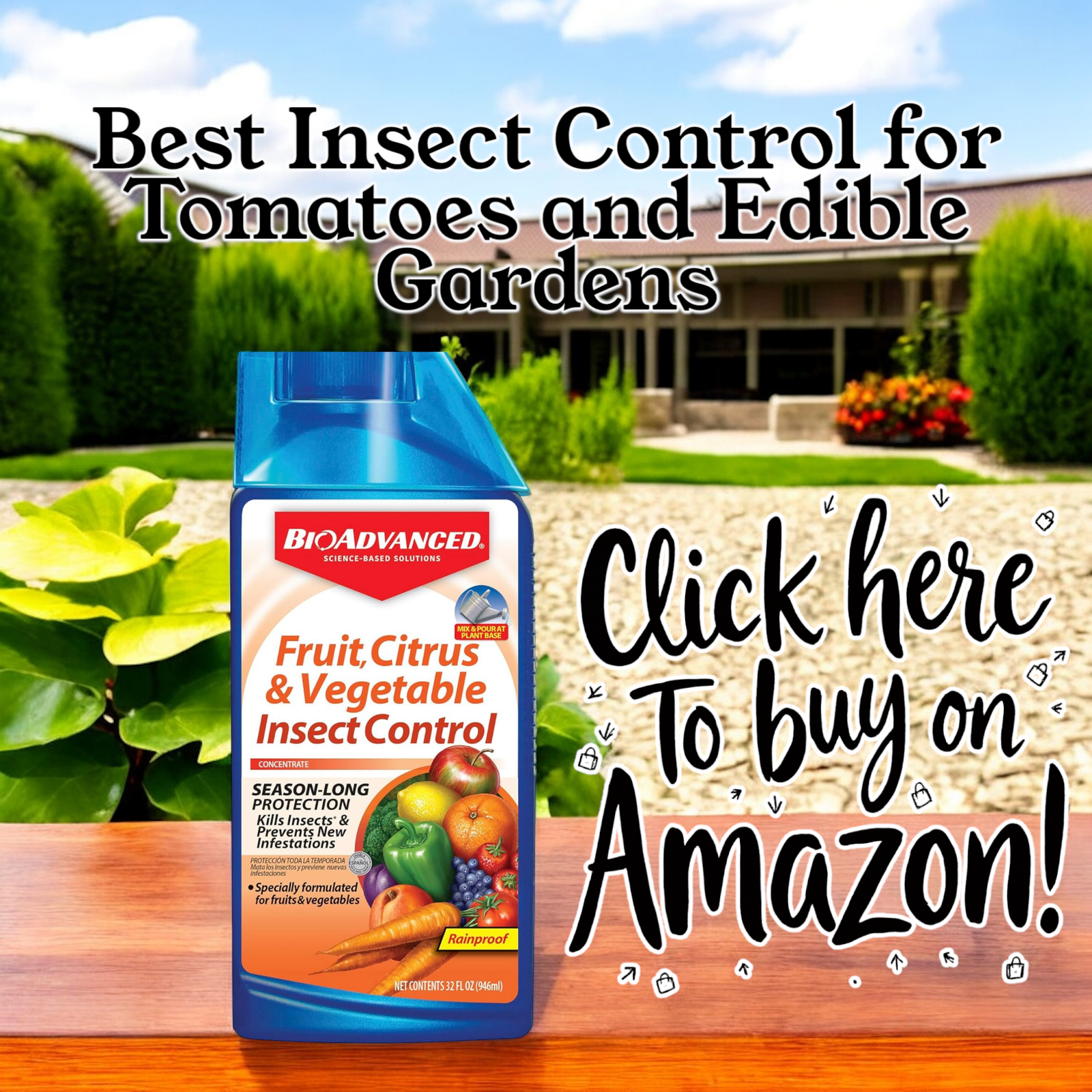 Click to buy on Amazon
