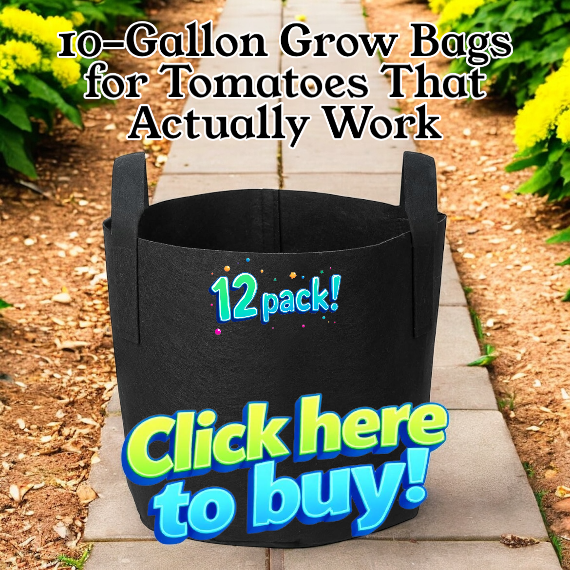 Tomato grow pots