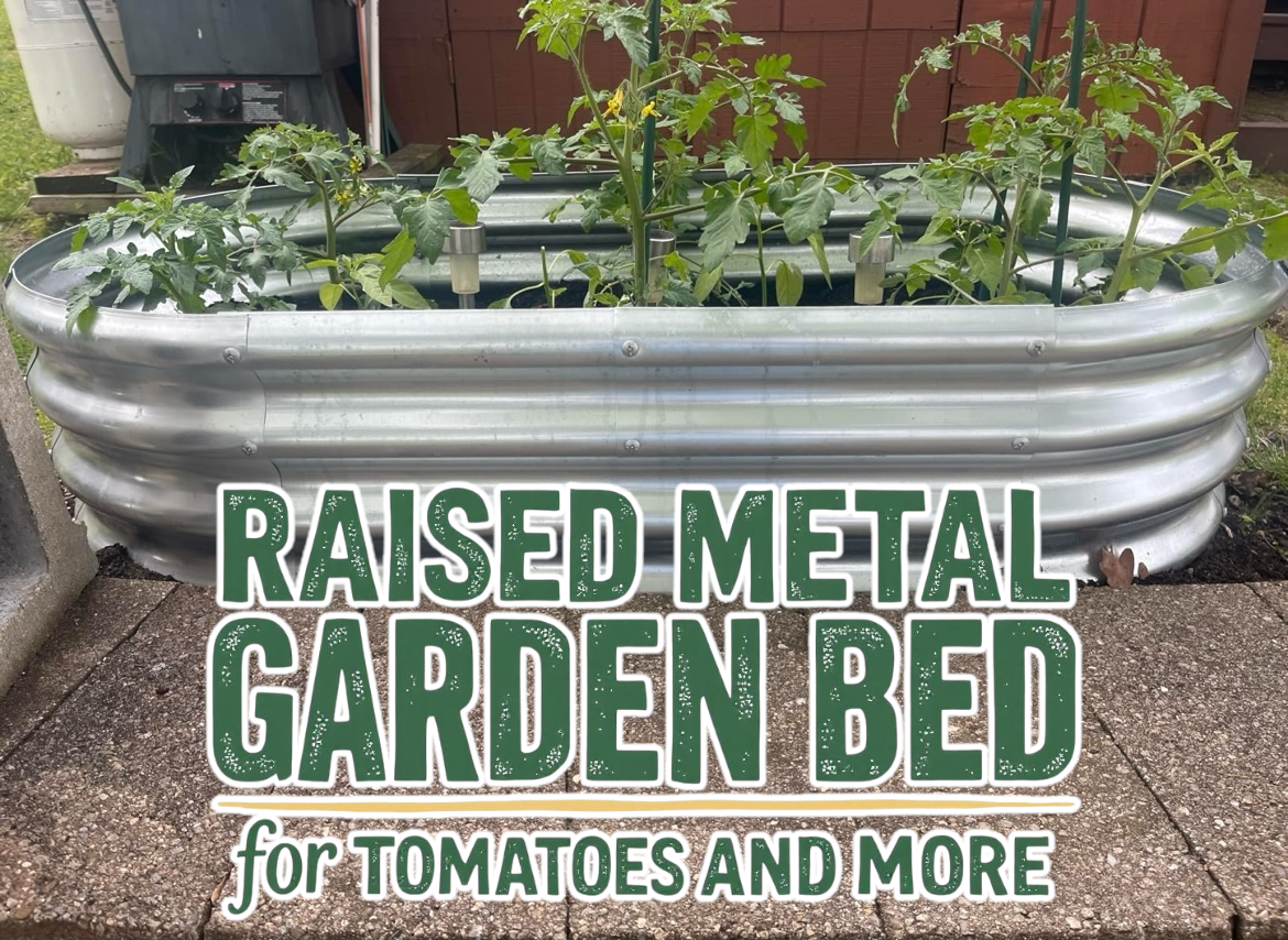 Raised garden bed for tomato plants