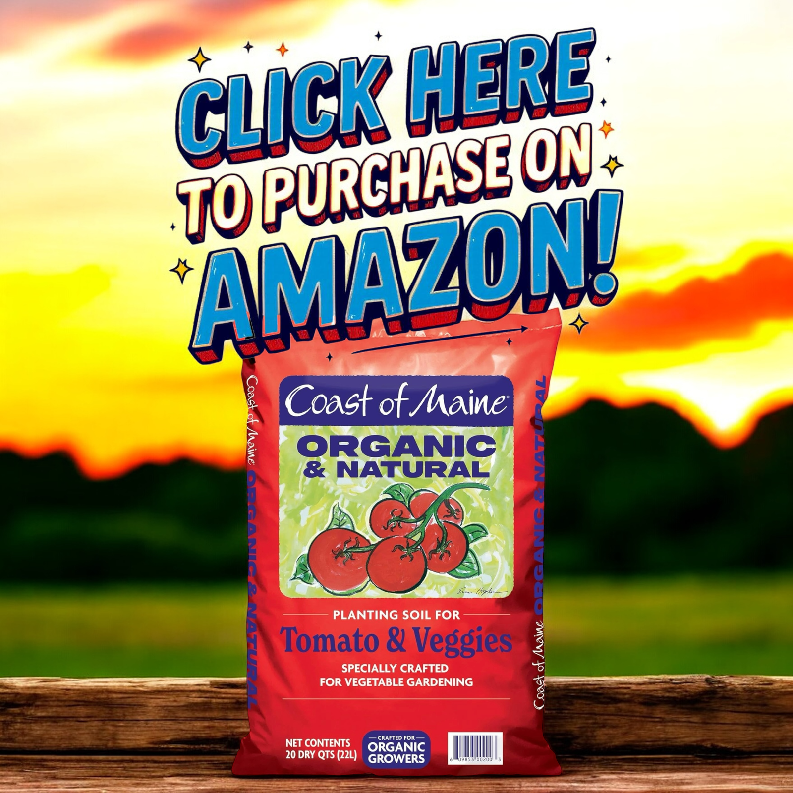 Purchase this tomato soil on Amazon