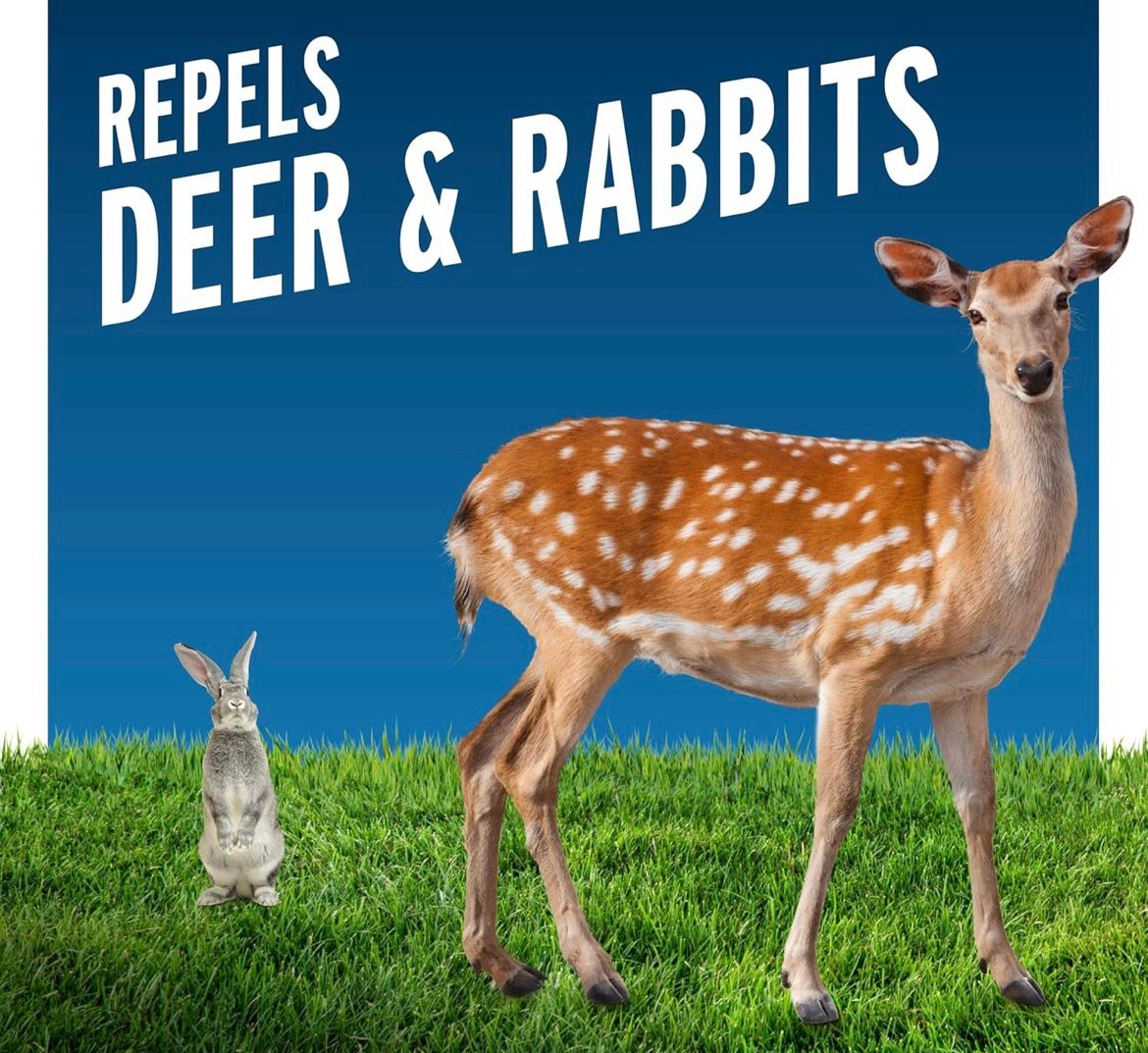 Repel deer and rabbits from plants
