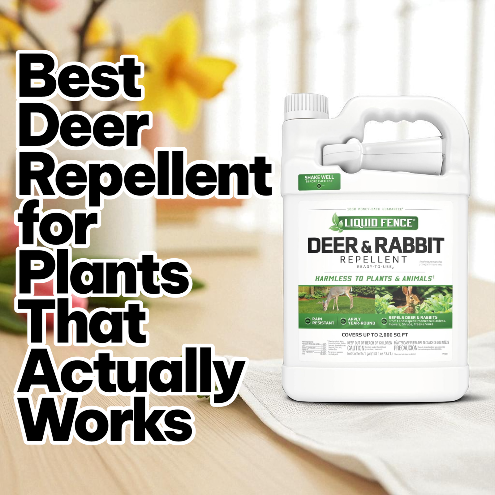 Best Deer Repellent for Plants That Actually Works