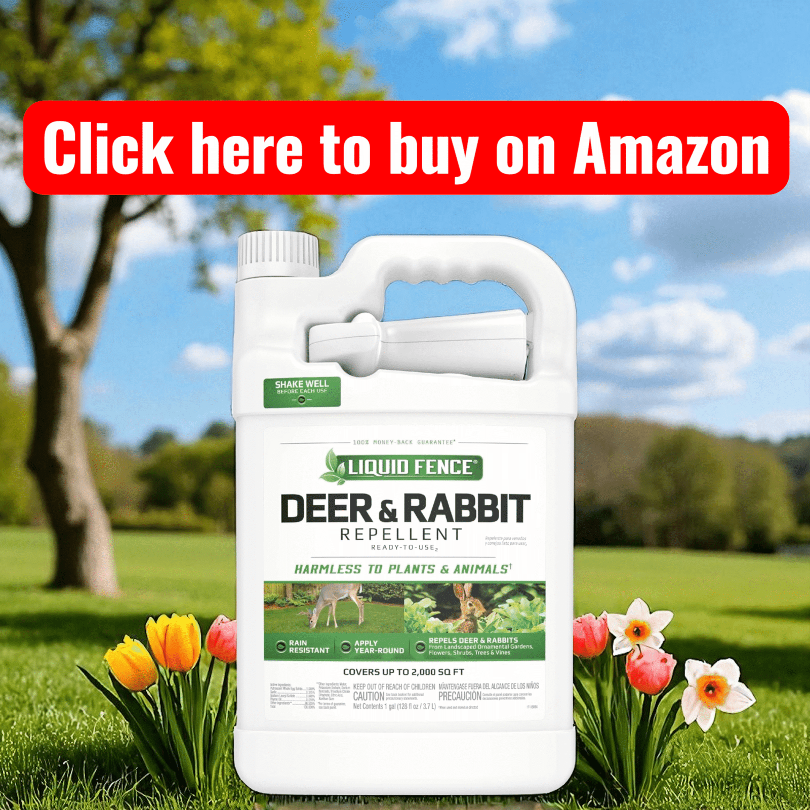 Deer repellant to buy on Amazon for tomato plants